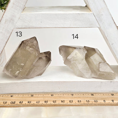 Smokey Citrine Small Natural Crystal Cluster - You Choose variants 13 and 14 labeled with ruler for size reference