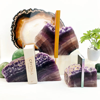 Fluorite Semi Polished Bookends - By Weight all weight variants being shown with books to show functionality with props and plants on a light background