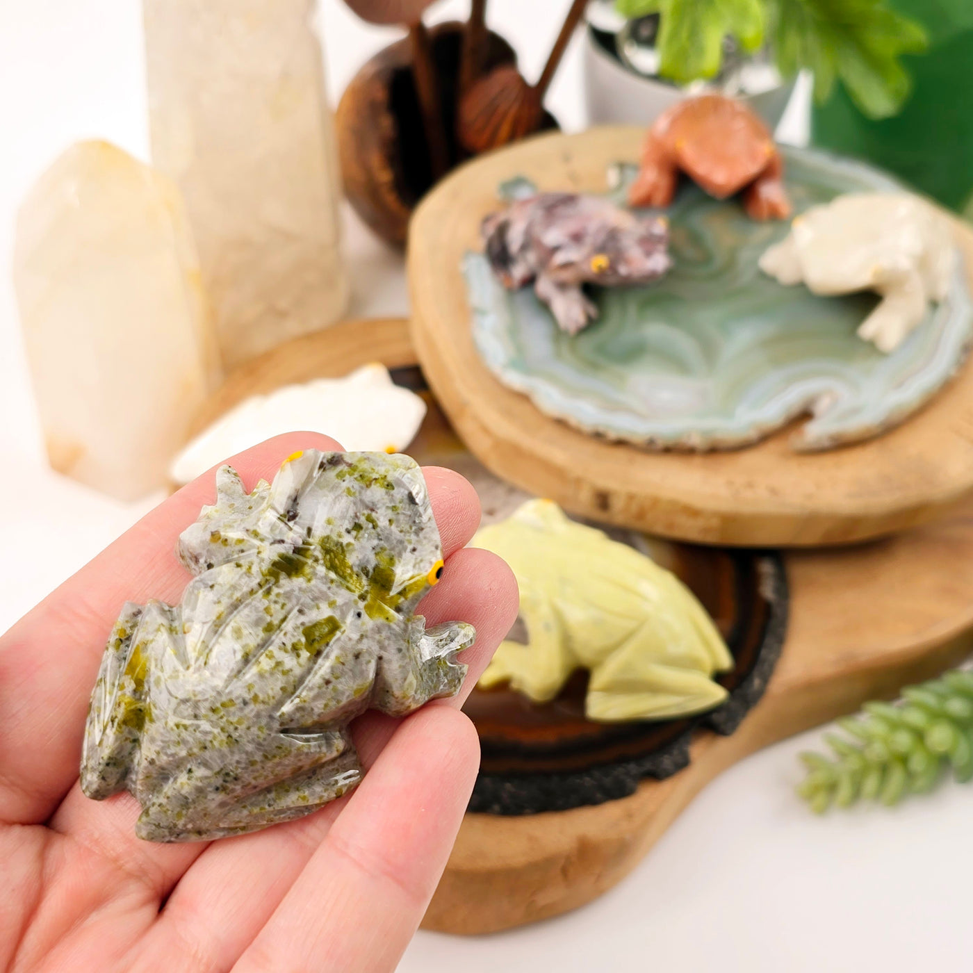 Crystal Frog - Carved Stone Frog from Brazil - You Choose Stone - Serpentine variant in hand for size reference with other stone variants in background on wooden platters and agate coasters with props and plants