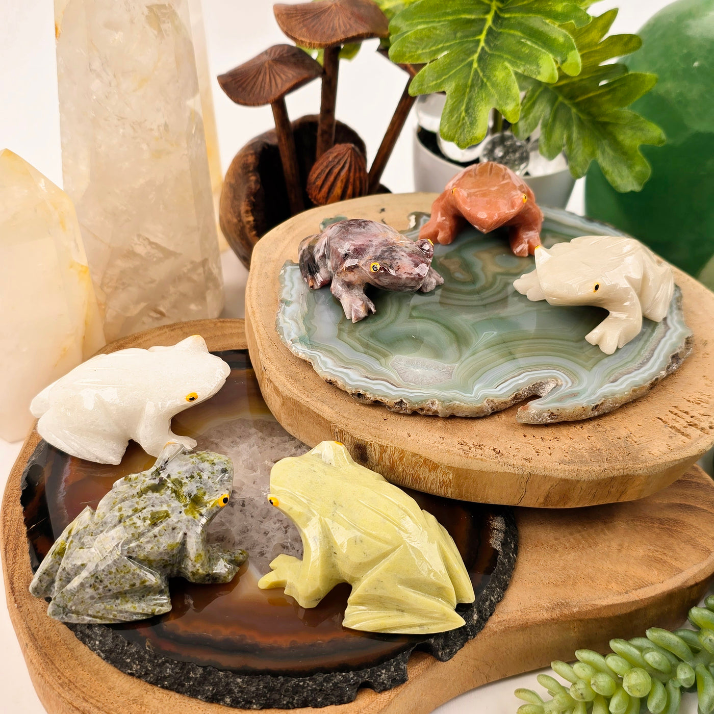 Crystal Frog - Carved Stone Frog from Brazil - You Choose Stone all stone variants arranged on agate coasters on wooden platforms with props and plants in the background