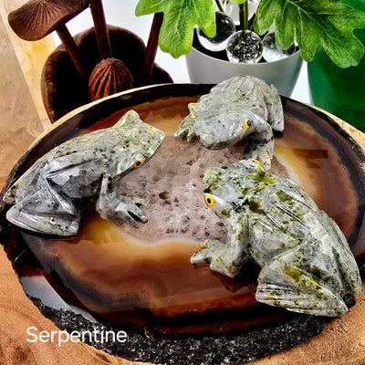 Crystal Frog - Carved Stone Frog from Brazil - You Choose Stone Serpentine variant labeled