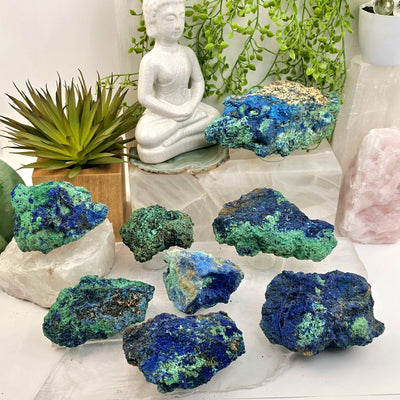 Azurite with Malachite on Matrix - AAA Grade - You Choose all variants on stone platters with props and plants in the background