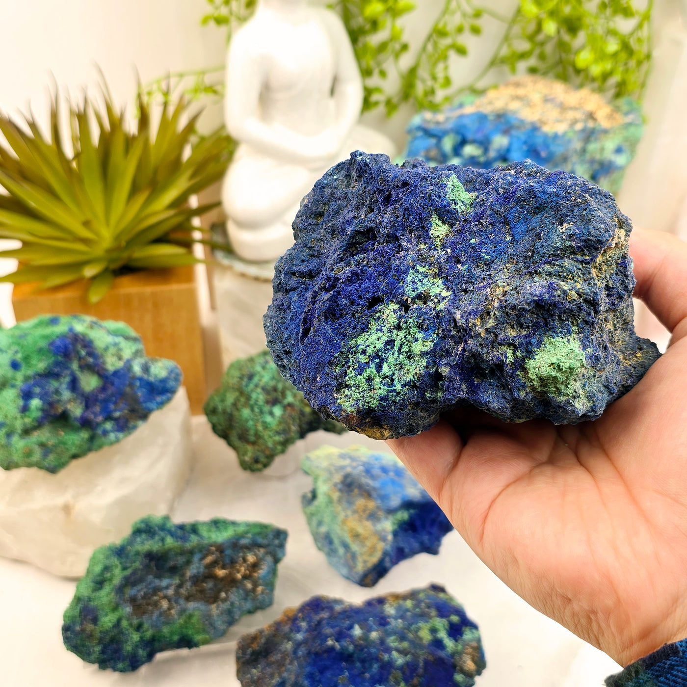 Azurite with Malachite on Matrix - AAA Grade - You Choose variant 5 in hand for size reference with other variants in the background with props and plants