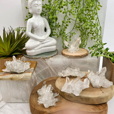 Crystal Quartz Cluster - AA Grade - You Choose #3 all variants on wooden platters with props and plants in the background