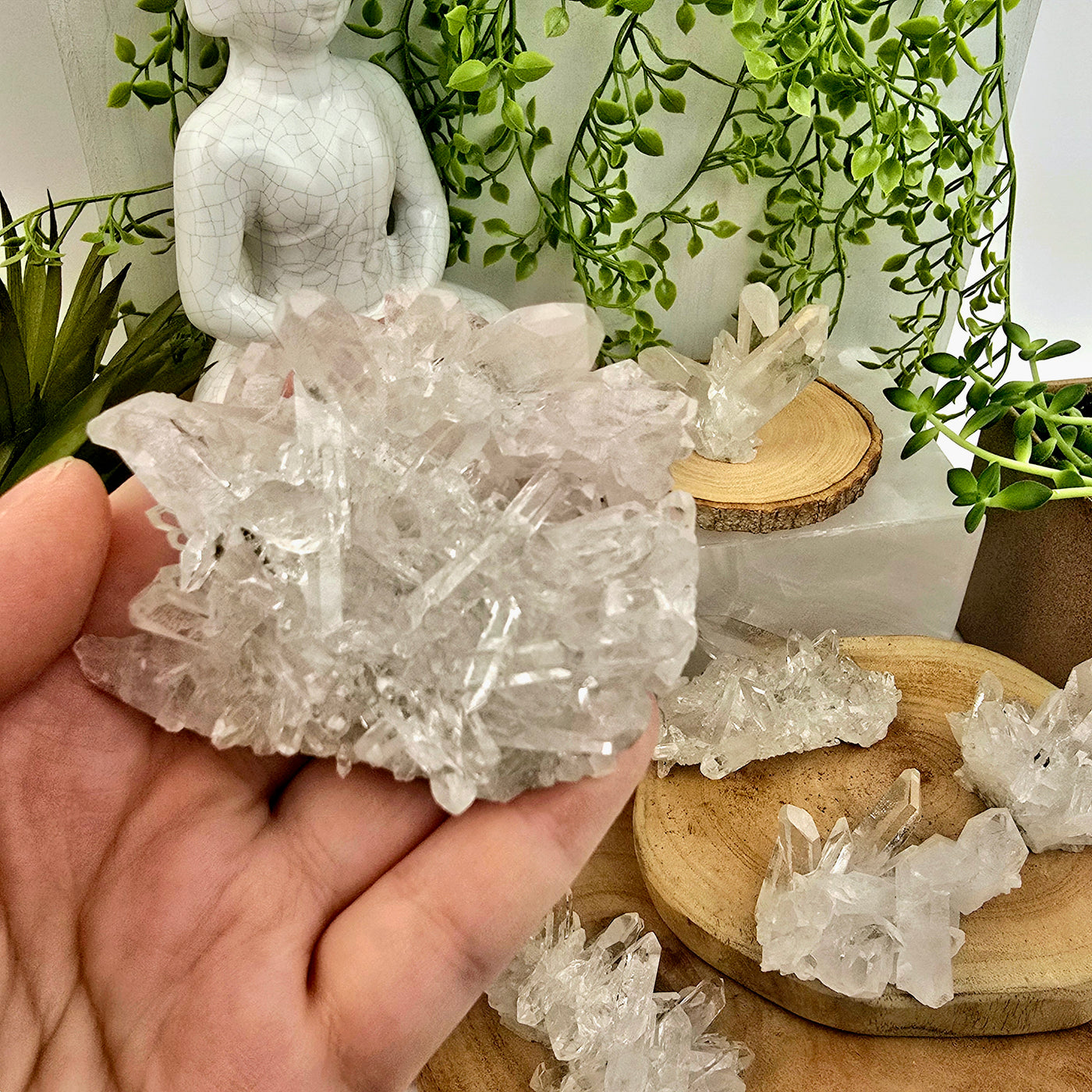 Crystal Quartz Cluster - AA Grade - You Choose #3 - variant F in hand for size reference with other variants in the background with props and plants