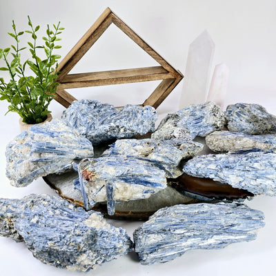 Blue Kyanite - Rough Crystal on Matrix - YOU CHOOSE #2 all variants on stone platters with props and plants in the background