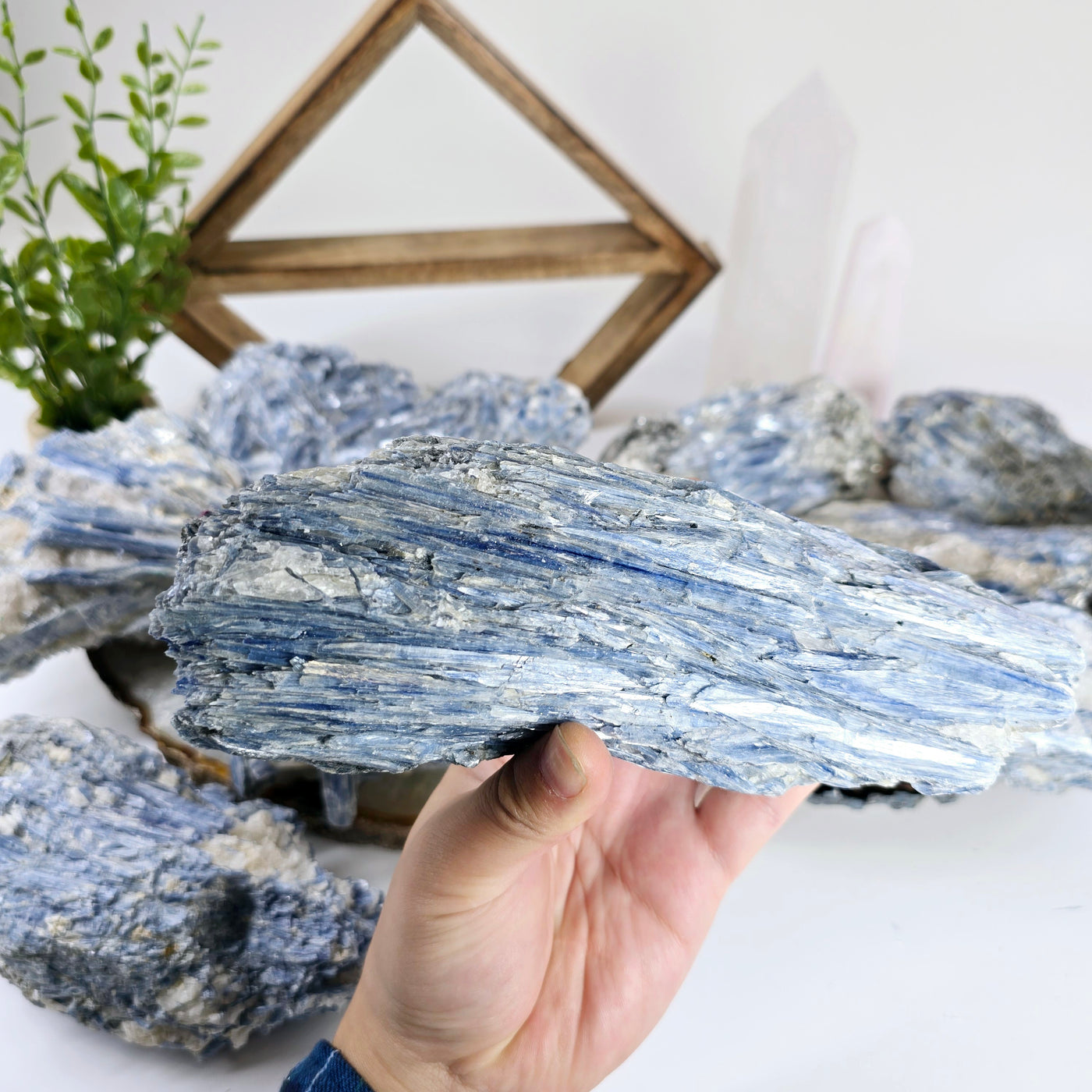 Blue Kyanite - Rough Crystal on Matrix - YOU CHOOSE #2 variant 6 in hand for size reference with other variants in the background with props and plants