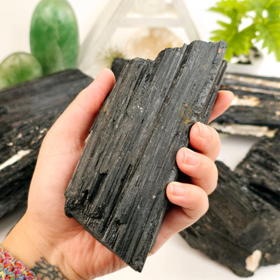 Black Tourmaline Natural Crystal - Rough Stone - You Choose variant 1 in hand for size reference with other variants in background with props and plants