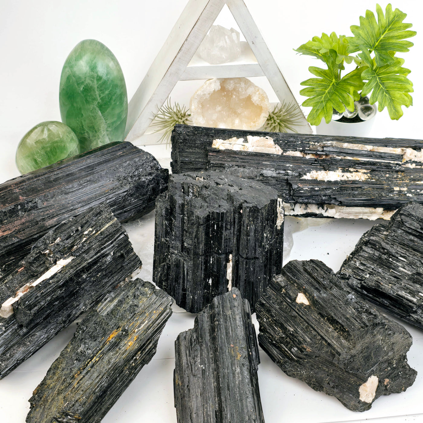 Black Tourmaline Natural Crystal - Rough Stone - You Choose all variants on white background with props and plants