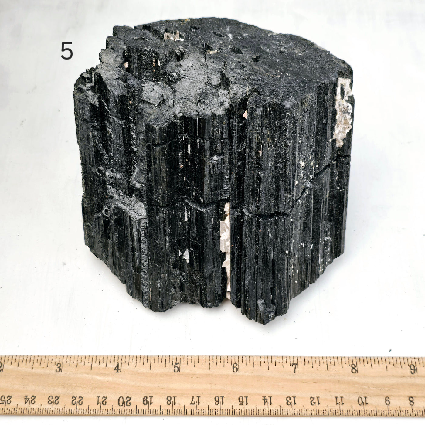 Black Tourmaline Natural Crystal - Rough Stone - You Choose variant 5 labeled with ruler for size reference