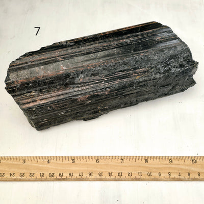 Black Tourmaline Natural Crystal - Rough Stone - You Choose variant 7 labeled with ruler for size reference