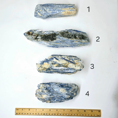  Blue Kyanite - Rough Crystal on Matrix - YOU CHOOSE #3 variants 1, 2, 3, and 4 labeled with ruler for size reference