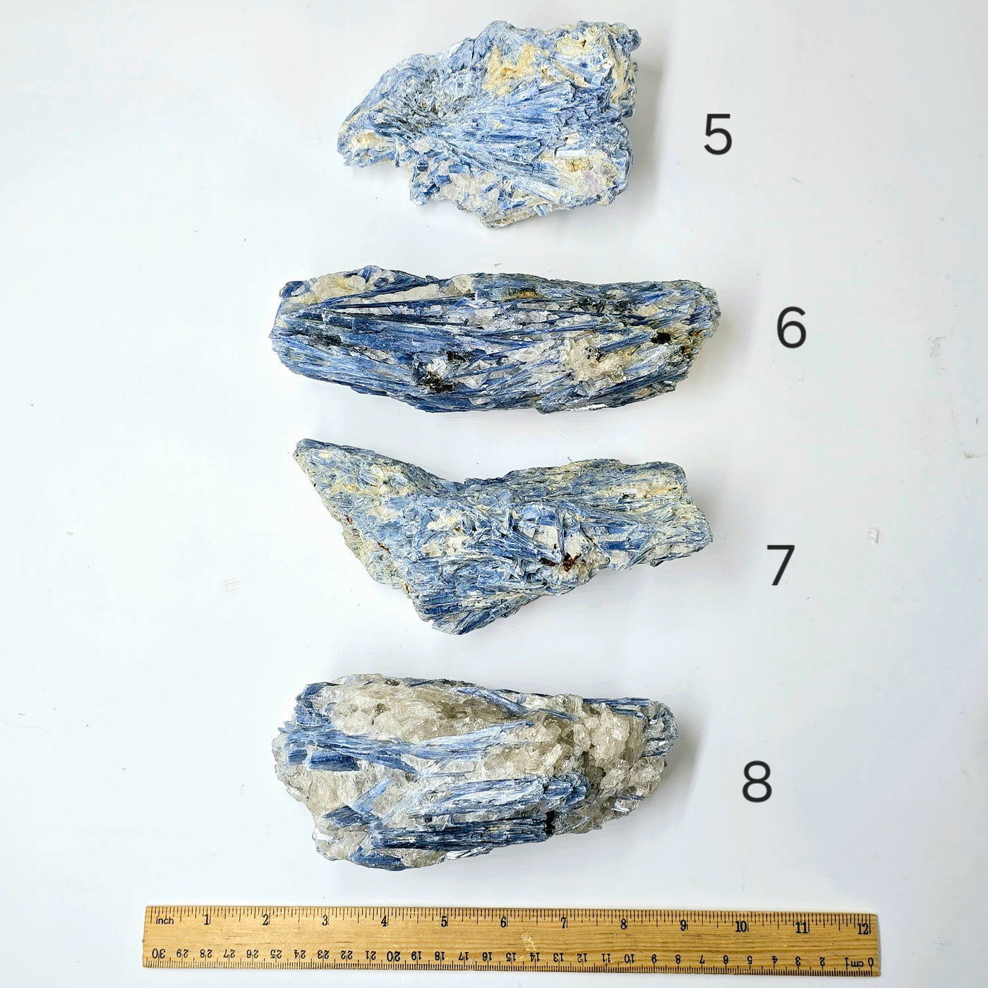  Blue Kyanite - Rough Crystal on Matrix - YOU CHOOSE #3 variants 5, 6, 7, and 8 labeled with ruler for size reference