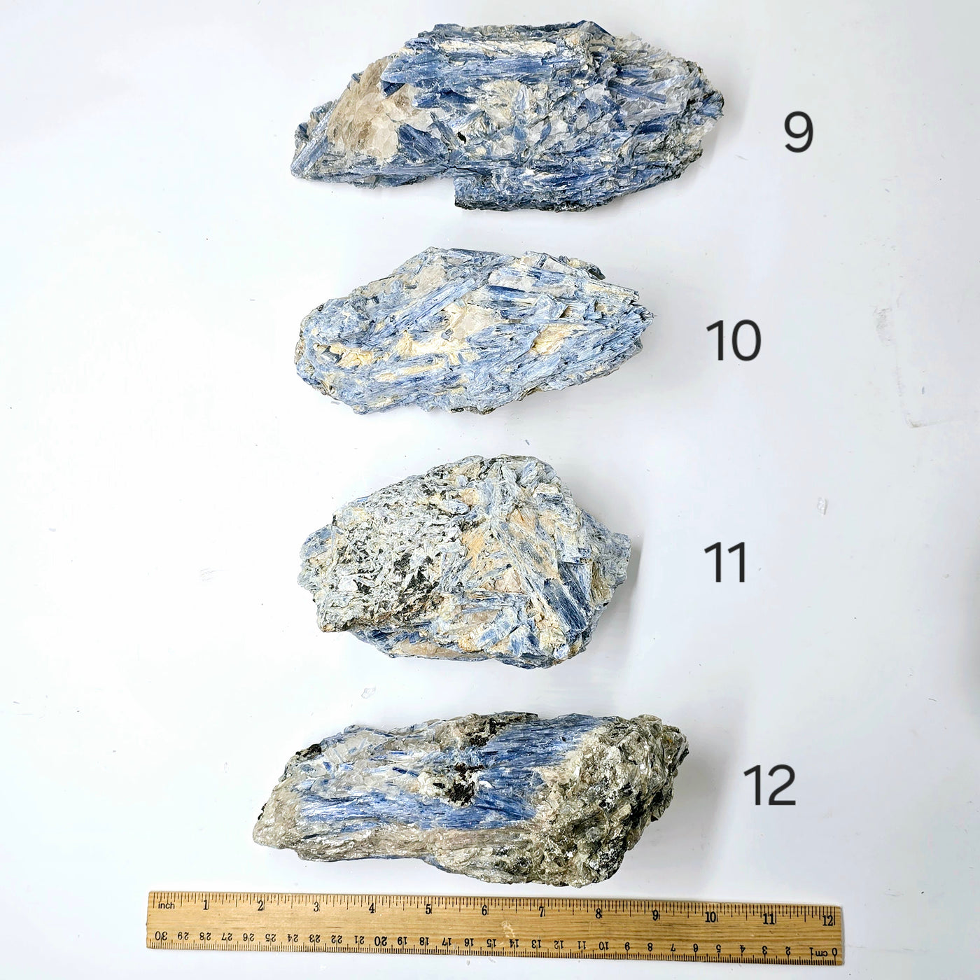  Blue Kyanite - Rough Crystal on Matrix - YOU CHOOSE #3 variants 9, 10, 11 and 12 labeled with ruler for size reference