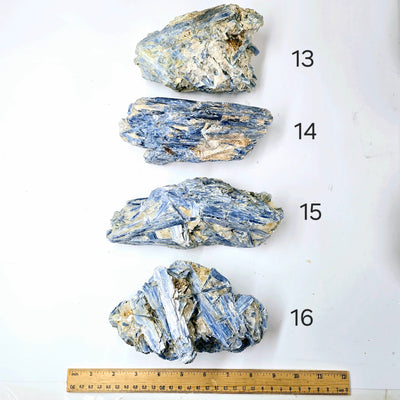  Blue Kyanite - Rough Crystal on Matrix - YOU CHOOSE #3 variants 13, 14, 15, and 16 labeled with ruler for size reference