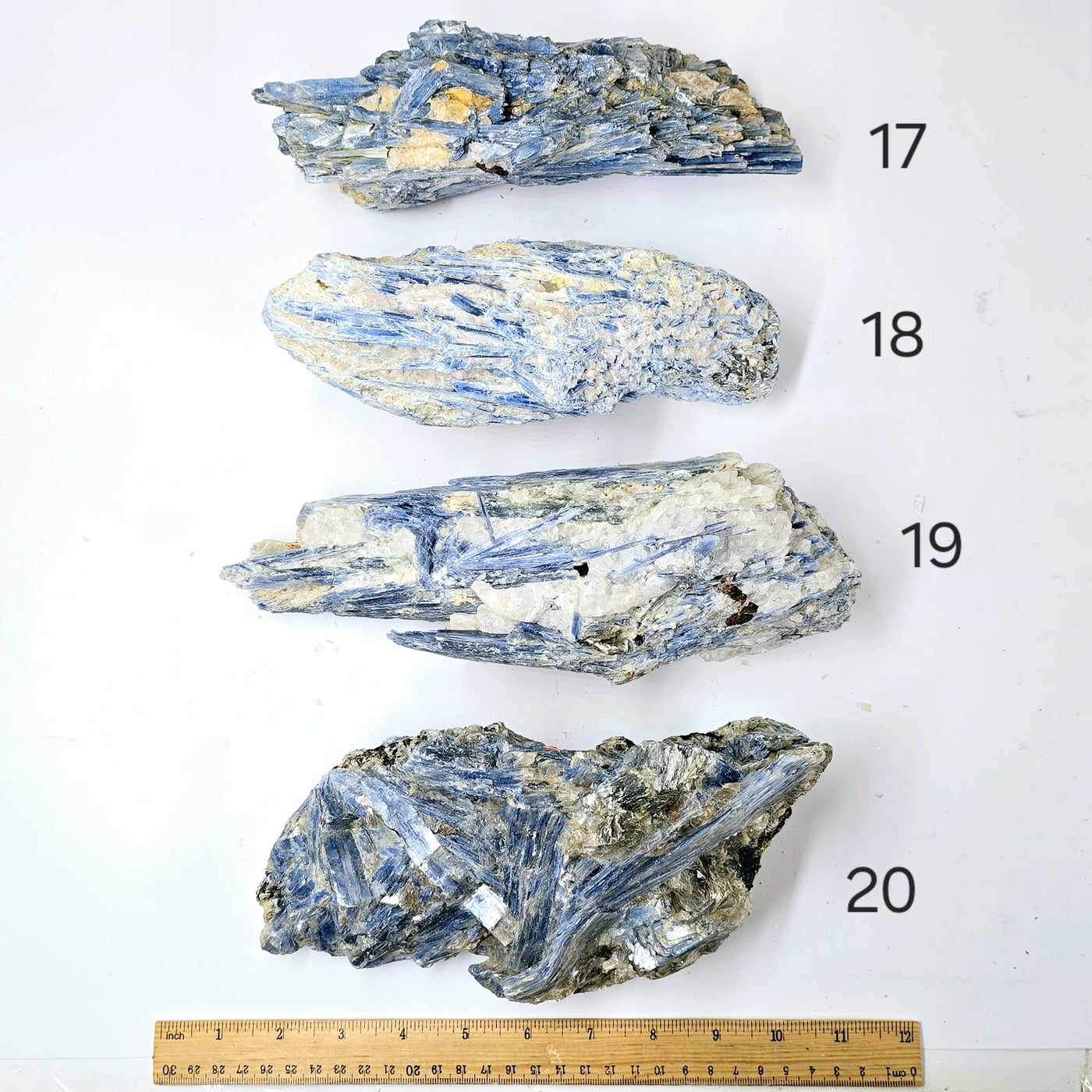  Blue Kyanite - Rough Crystal on Matrix - YOU CHOOSE #3 variants 17, 18, 19, and 20 labeled with ruler for size reference