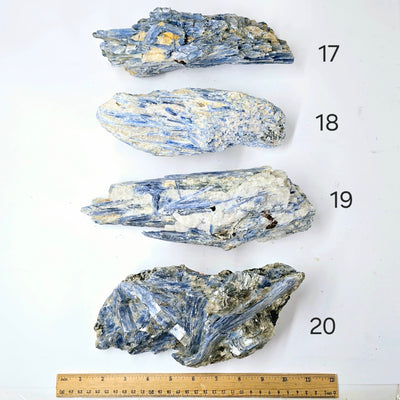  Blue Kyanite - Rough Crystal on Matrix - YOU CHOOSE #3 variants 17, 18, 19, and 20 labeled with ruler for size reference