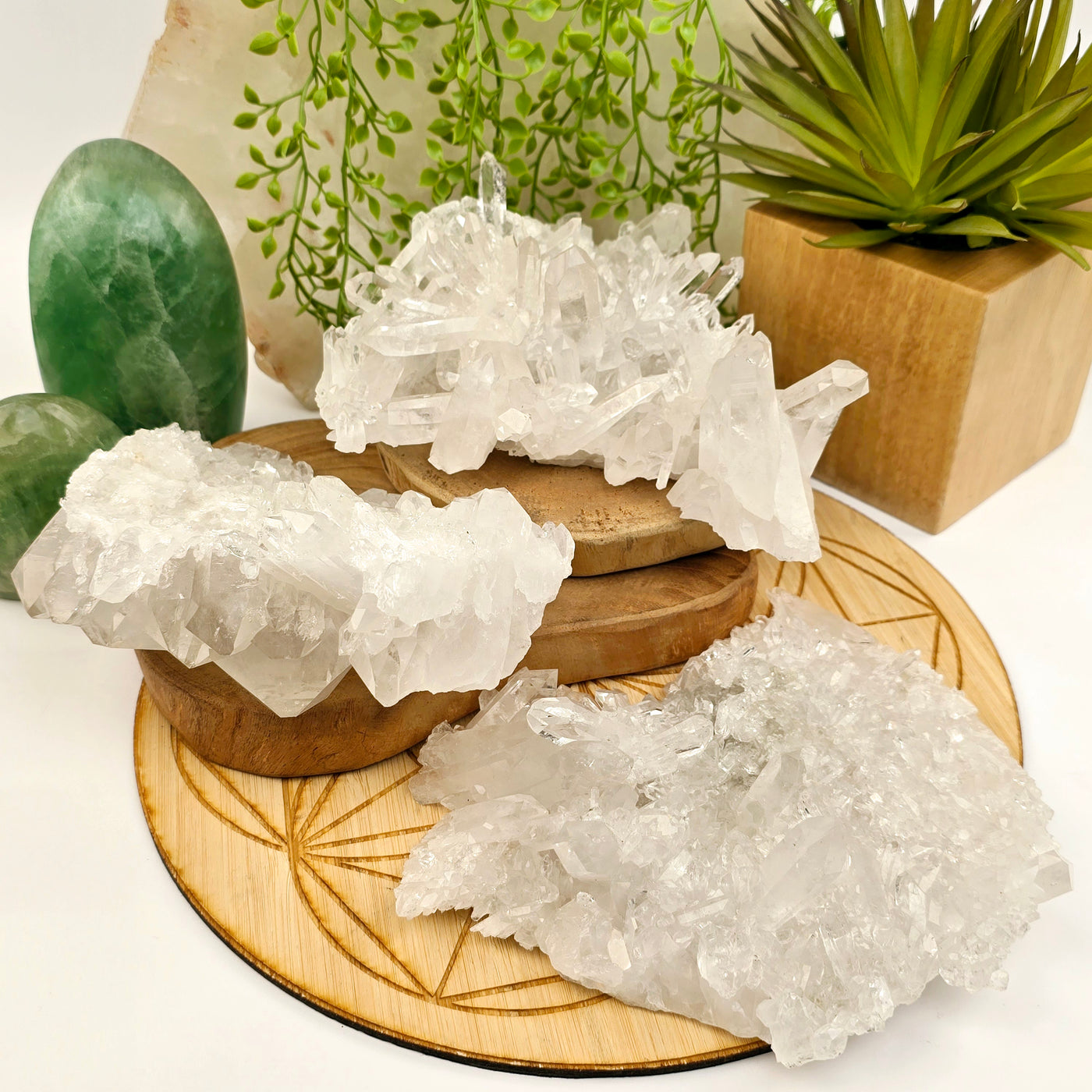 Crystal Quartz - Large AA Grade Cluster - You Choose all three crystal clusters on wooden boards with props and plants in the background