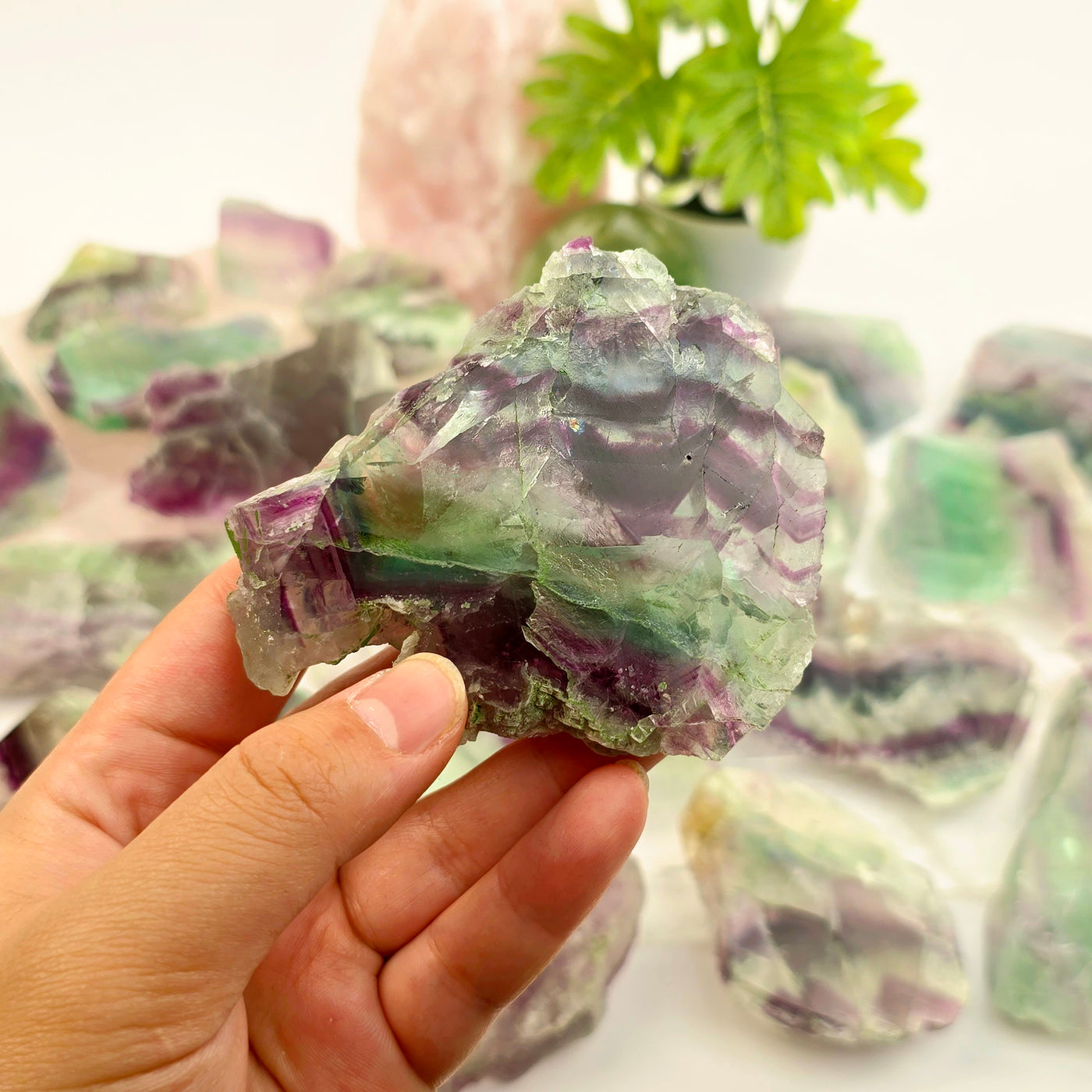 Rainbow Fluorite AA Grade Semi Polished Crystal Slab - You Choose - variant 21 in hand for size reference with other variants in the background with props and plants