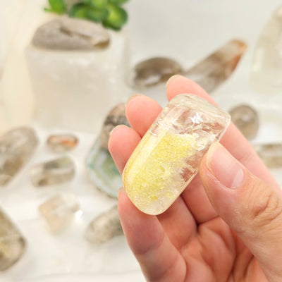 Garden Quartz Small Lodalite Polished Crystal YOU CHOOSE - variant 6 in hand for size reference with other variants in the background with props and plants