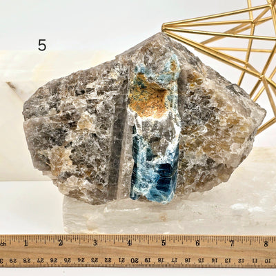 Aquamarine - High Quality Rough Crystals in Matrix - You Choose variant 5 labeled with ruler for size reference