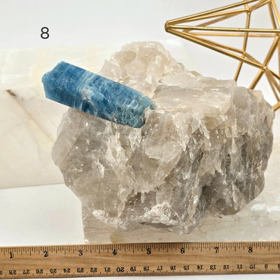 Aquamarine - High Quality Rough Crystals in Matrix - You Choose variant 8 labeled with ruler for size reference