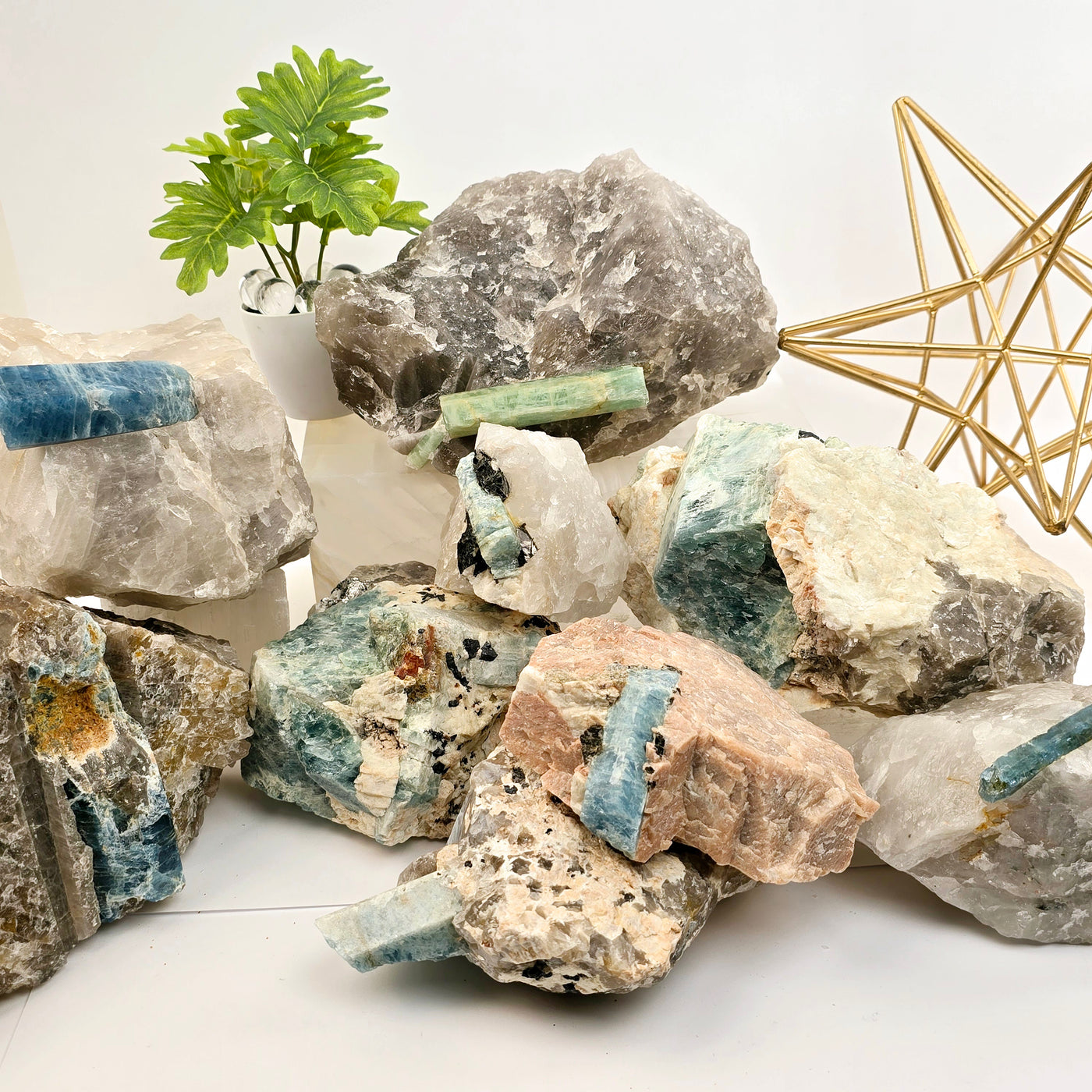 Aquamarine - High Quality Rough Crystals in Matrix - You Choose all variants stacked together with props and plants in the background