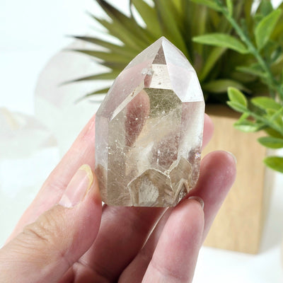 Rutilated Quartz Crystal Point with Phantoms - One-of-a-Kind in hand for size reference with plants and props in the background