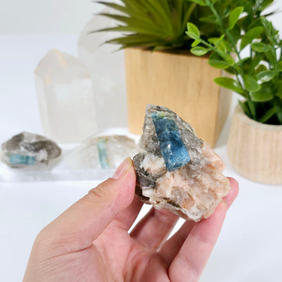 Aquamarine - Small Crystal in Matrix - You Choose variant 3 in hand for size reference with other variants in the background with props and plants