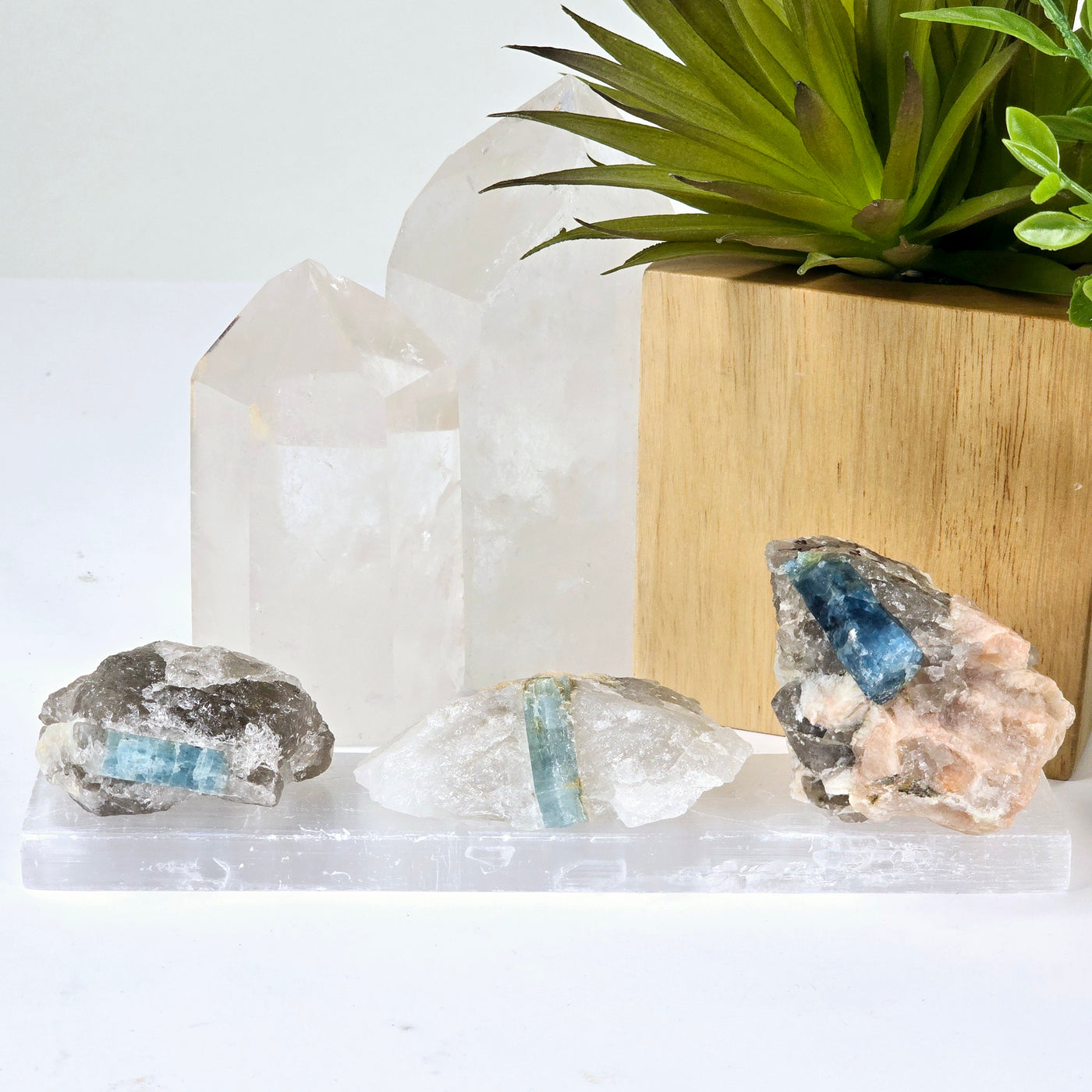 Aquamarine - Small Crystal in Matrix - You Choose all variants on selenite bar with props and plants in the background