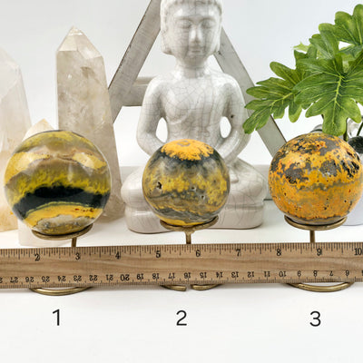 Bumble Bee Jasper Crystal Sphere - You Choose spheres 1, 2, and 3 labeled with ruler for size reference