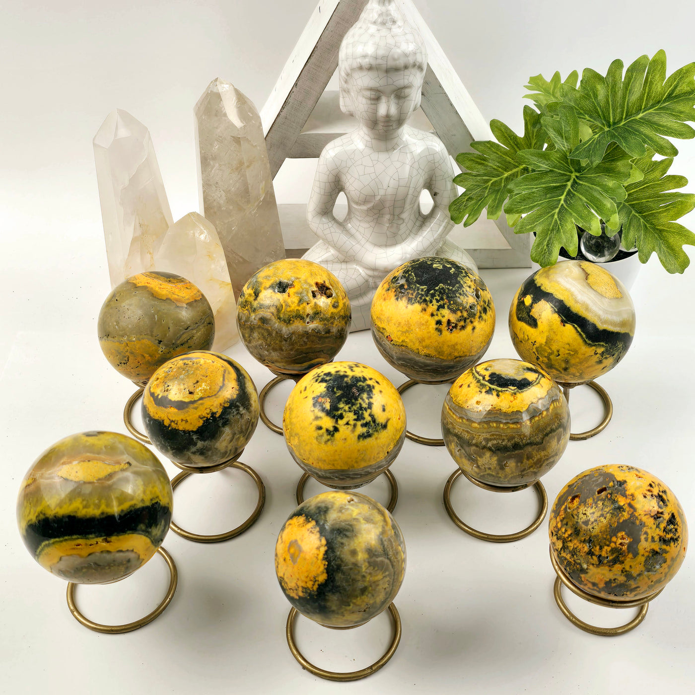 Bumble Bee Jasper Crystal Sphere - You Choose all variants on sphere stands with props and plants in the background