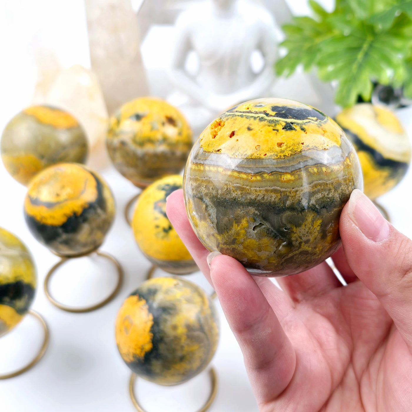 Bumble Bee Jasper Crystal Sphere - You Choose - variant 6 in hand for size reference with other variants in the background with props and plants