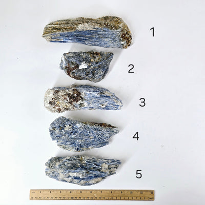 Blue Kyanite - Rough Crystal on Matrix - YOU CHOOSE #4 variants 1, 2, 3, 4, and 5 labeled with ruler for size reference on white background