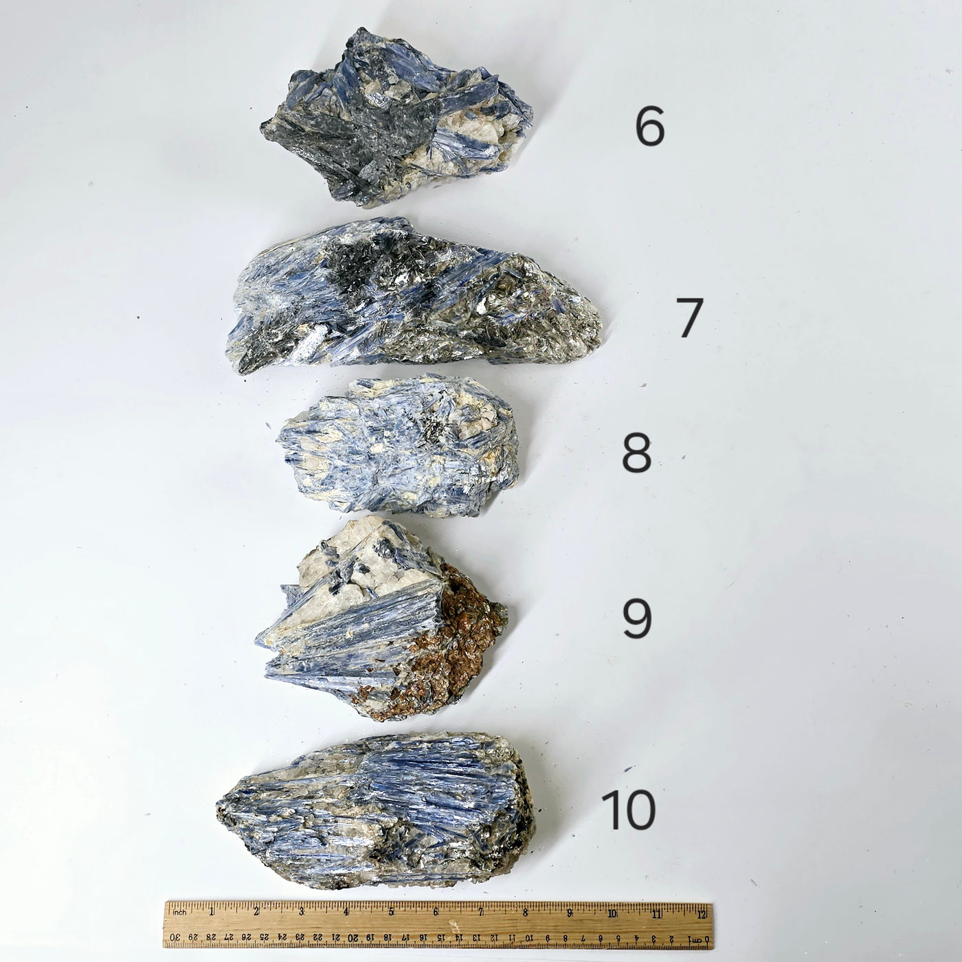 Blue Kyanite - Rough Crystal on Matrix - YOU CHOOSE #4 variants 6, 7, 8, 9, and 10 labeled with ruler for size reference on white background