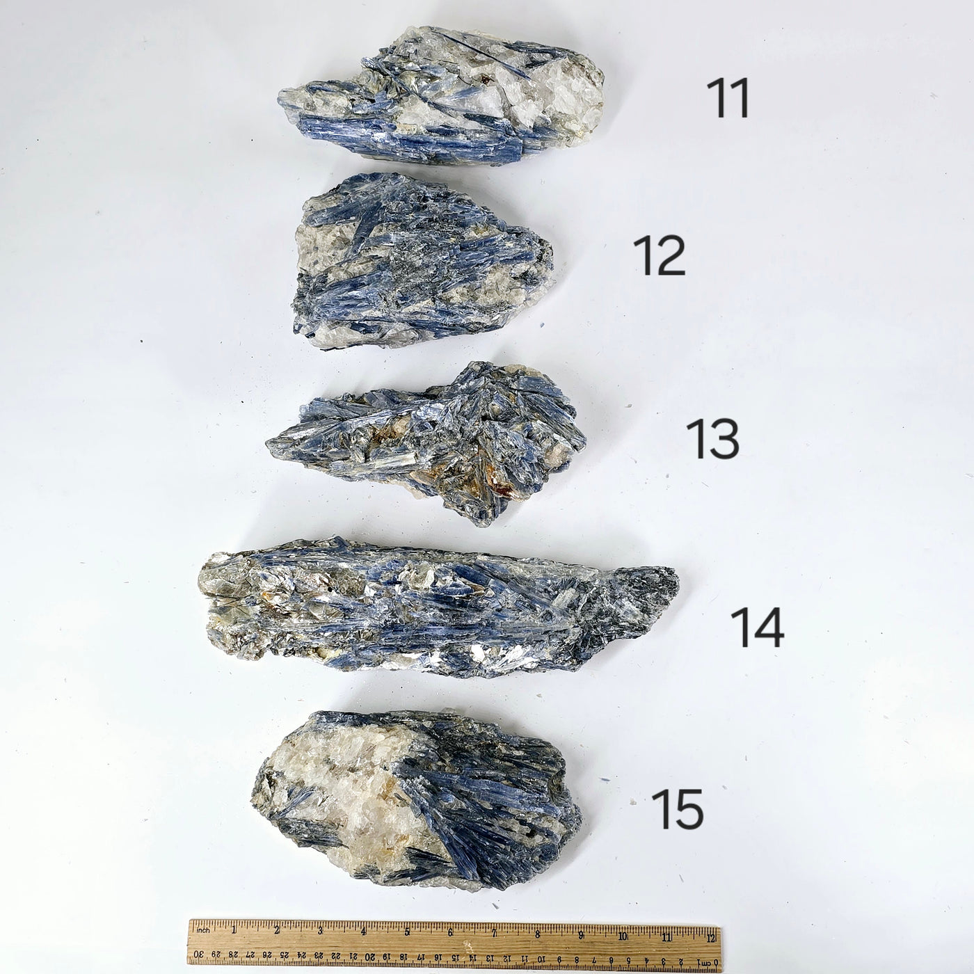 Blue Kyanite - Rough Crystal on Matrix - YOU CHOOSE #4 variants 11, 12, 13, 14 and 15 labeled with ruler for size reference on white background