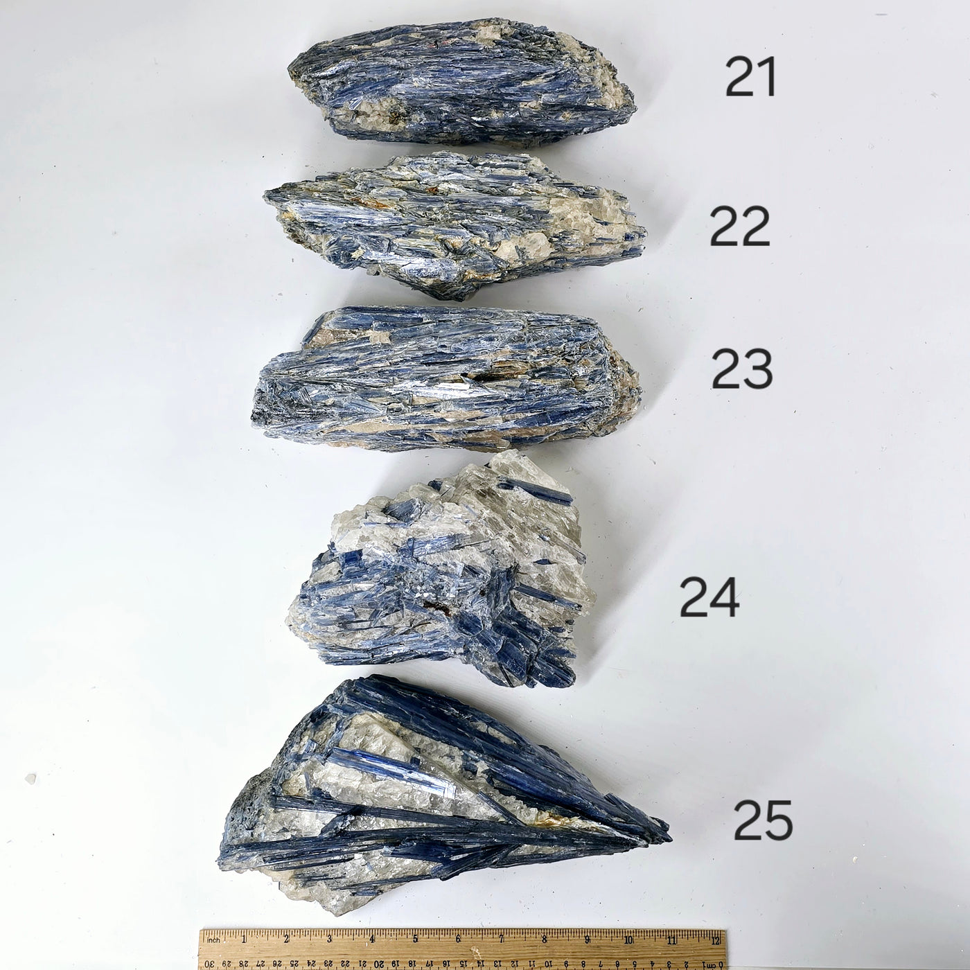 Blue Kyanite - Rough Crystal on Matrix - YOU CHOOSE #4 variants 21, 22, 23, 24, and 25 labeled with ruler for size reference on white background