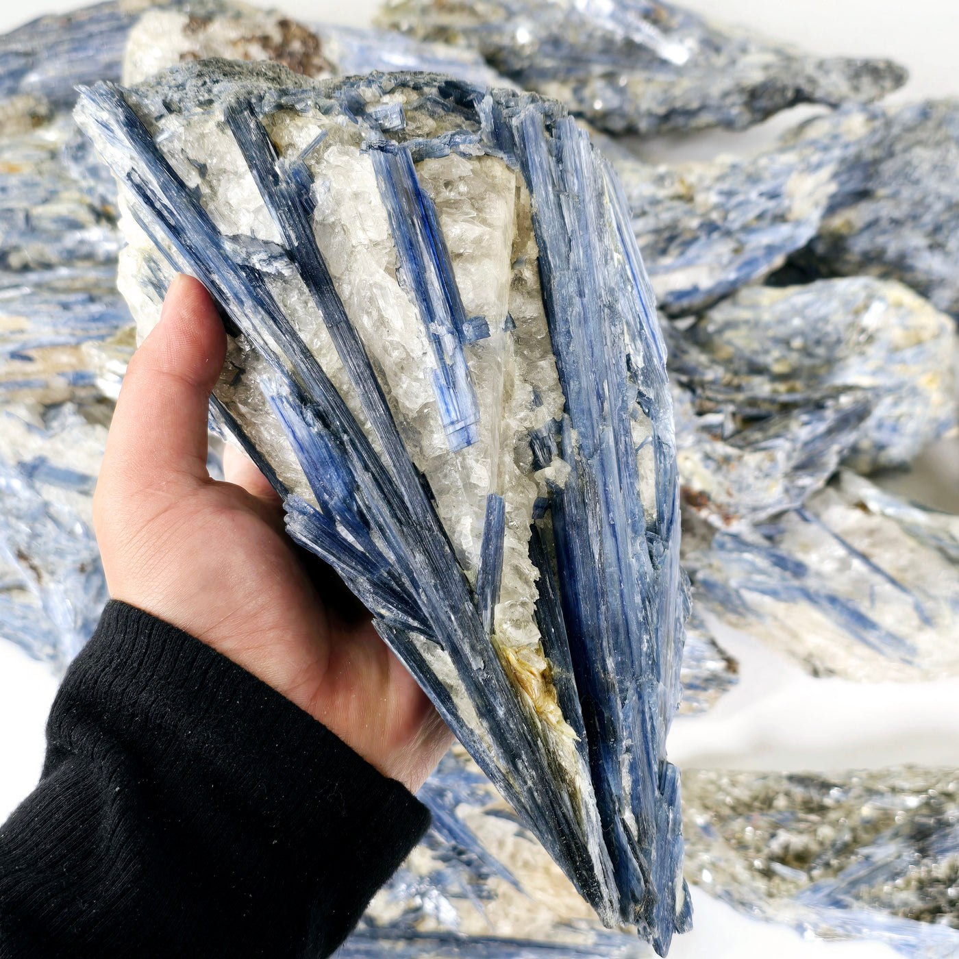 Blue Kyanite - Rough Crystal on Matrix - YOU CHOOSE #4 variant 25 in hand for size reference with other variants in the background