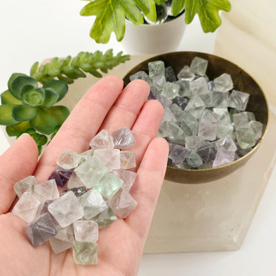 Fluorite Crystal Octahedrons - By the Pound - several in hand for size reference with the rest in a metal bowl on quartz platter with plants and props in the background