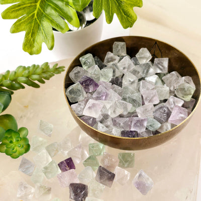 Fluorite Crystal Octahedrons - By the Pound - most in a bowl while some outside bowl on a quartz platter with plants and props in the background