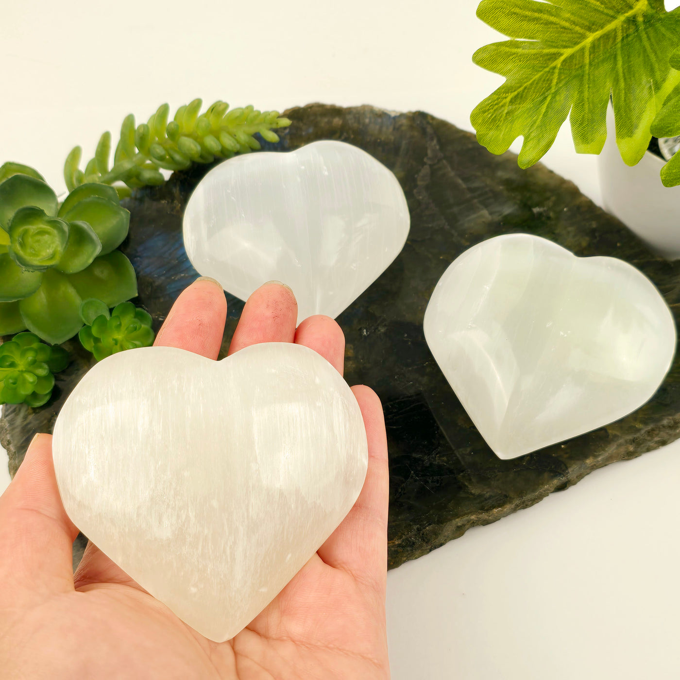 Selenite Crystal Heart - 9 cm one in hand for size reference with others on labradorite platter with plants and props on a white background