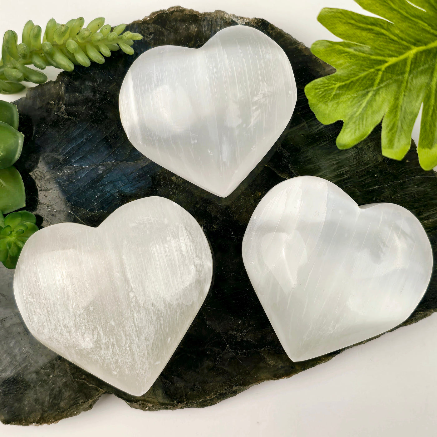 Selenite Crystal Heart - 9 cm - three on a labradorite platter with plants on a white background top view