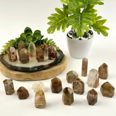 Rutilated Quartz Small Crystal Points many points arranged aesthetically on white background with props and plants