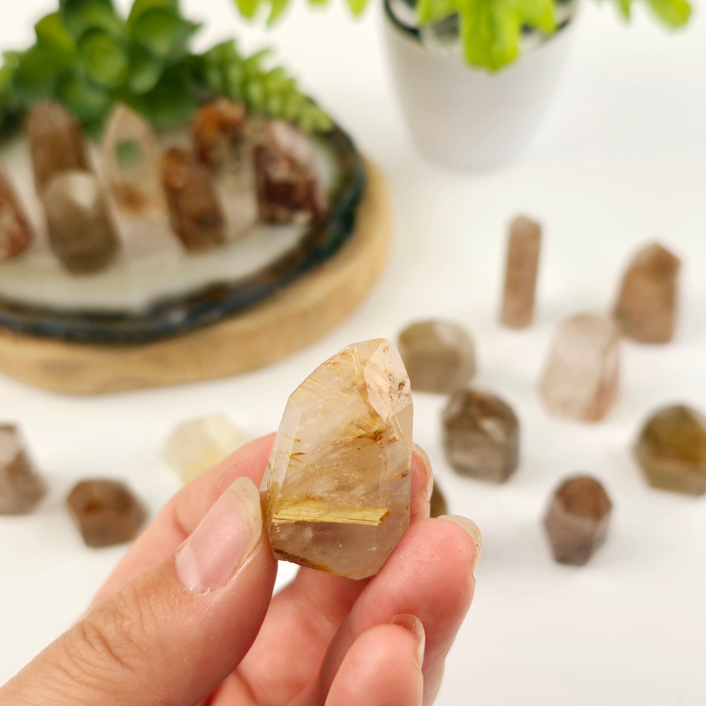 Rutilated Quartz Small Crystal Points - one in hand for size reference with others in the background with props and plants