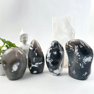 Orca Agate Polished Freeform Cut Base - You Choose all four variants with props and plants on a white background