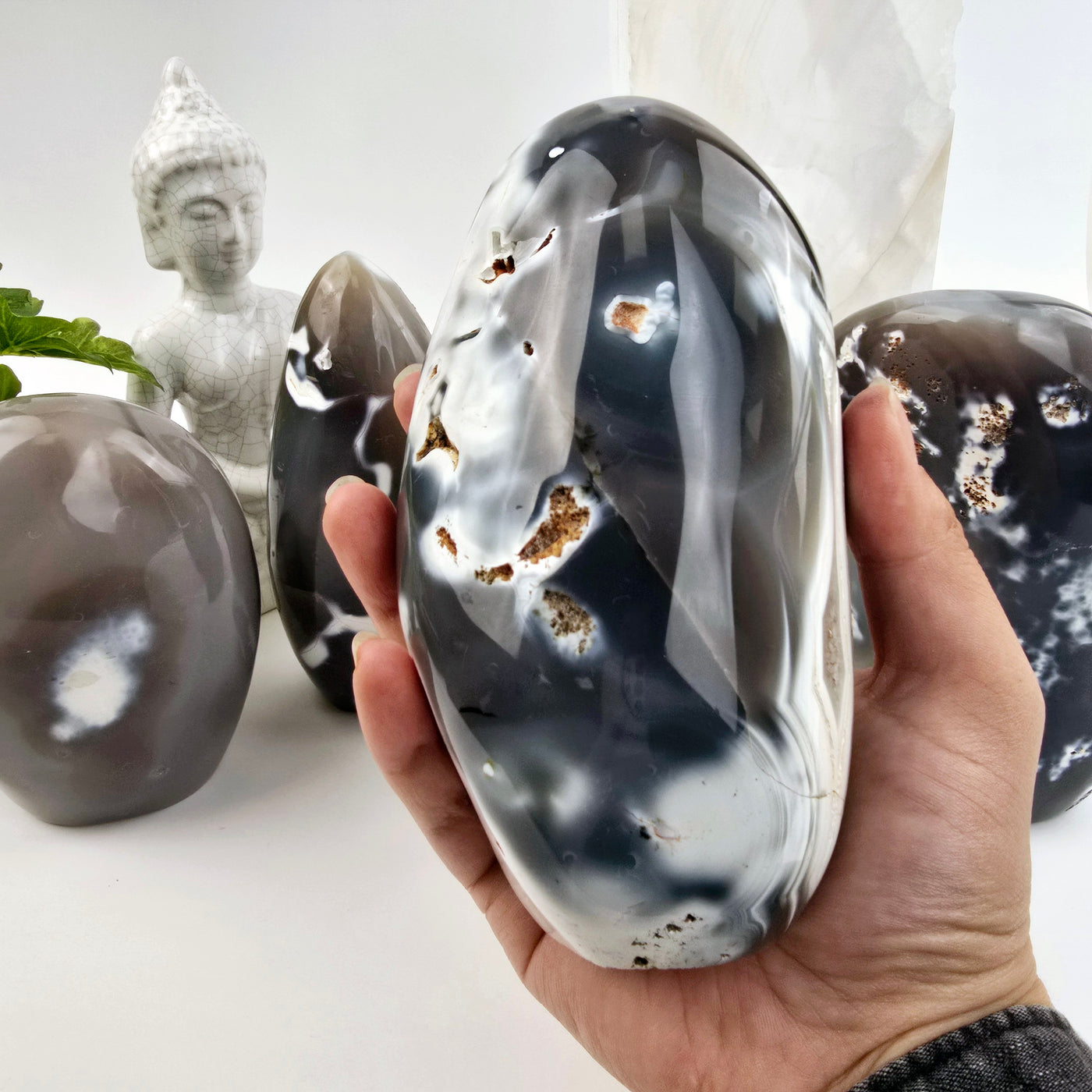 Orca Agate Polished Freeform Cut Base - You Choose variant 3 in hand for size reference with other variants in the background with props and plants