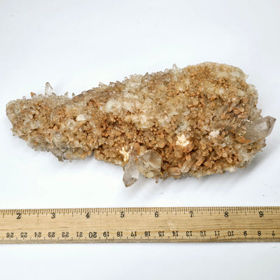 Tangerine Quartz Crystal Cluster with Phantoms - One-of-a-Kind top view with ruler for size reference