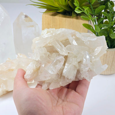 Lemurian Tangerine Quartz Crystal Cluster - You Choose #1 - variant B in hand for size reference with other variant in the background with plants and props