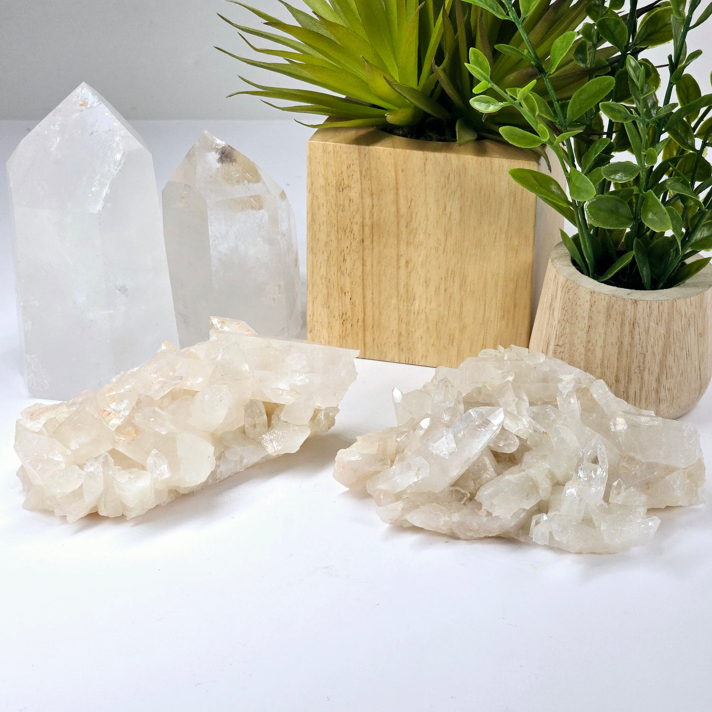 Lemurian Tangerine Quartz Crystal Cluster - You Choose #1 both variants front view with plants and props in the background