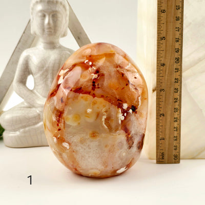 Carnelian Polished Freeform Cut Base - You Choose variant 1 labeled with ruler for size reference